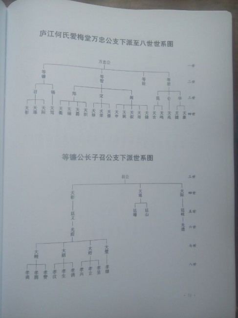 庐江何氏爱梅堂万忠公支下派至八世世系图