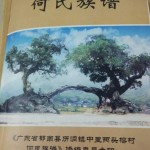 《广东省郁南县历洞镇中里两头榕村何氏族谱》（封面）