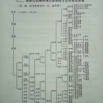 何氏宗谱：须奇公后裔何瑄公曾孙应才公分支世系表