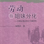 劳动与姐妹分化：中国女性农民工个案研究.何明洁著
