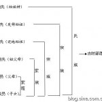 湖南道县桥头花台屋何氏族谱世系齿录序