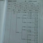 汝城何氏大同宗谱世系表