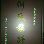 《广东信宜安莪何氏族谱》（封面）