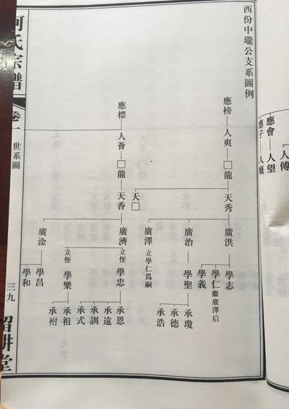 (安徽省芜湖市无为县蜀山镇关河乡留耕堂)何氏宗谱：西份中珑公支系图例