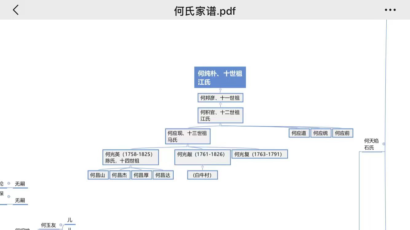 广西罗城县龙岸镇何氏寻福建漳州族亲